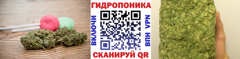 ОМГ ОМГ как войти  наркошоп  Приморск  Cannafood марихуана 