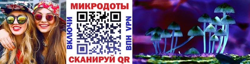 OMG онион  Приморск  Псилоцибиновые грибы мицелий 